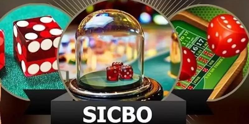 Sicbo là gì? Bật mí kinh nghiệm đặt cược bất bại