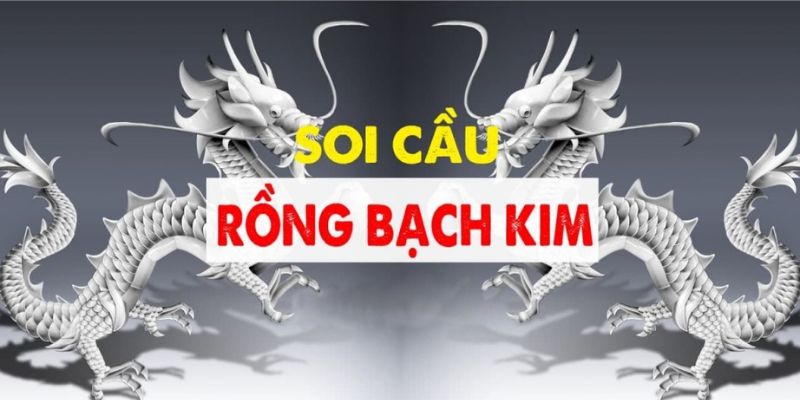 Bí quyết soi cầu Rồng Bạch Kim mang về hiệu quả cao nhất